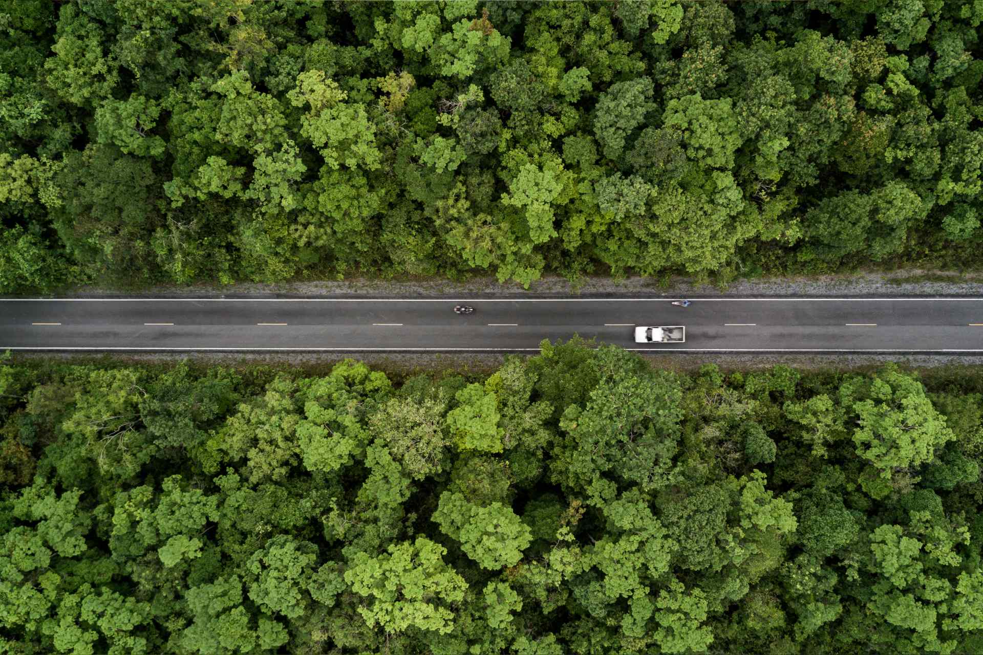 Metsän reunustama autotie